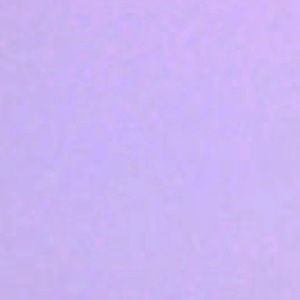 Meet your Posher, Rose